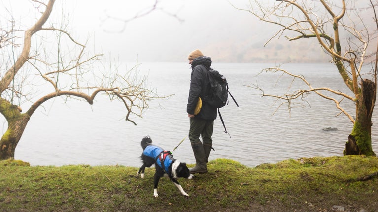 Visitor walks along the path by Wastwater with their dog in winter
